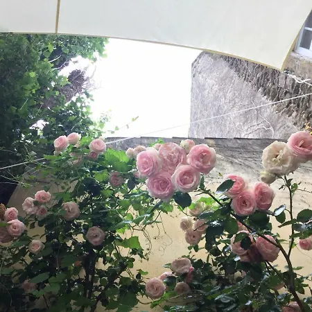 Les Aiguieres En Provence * Suze-la-Rousse